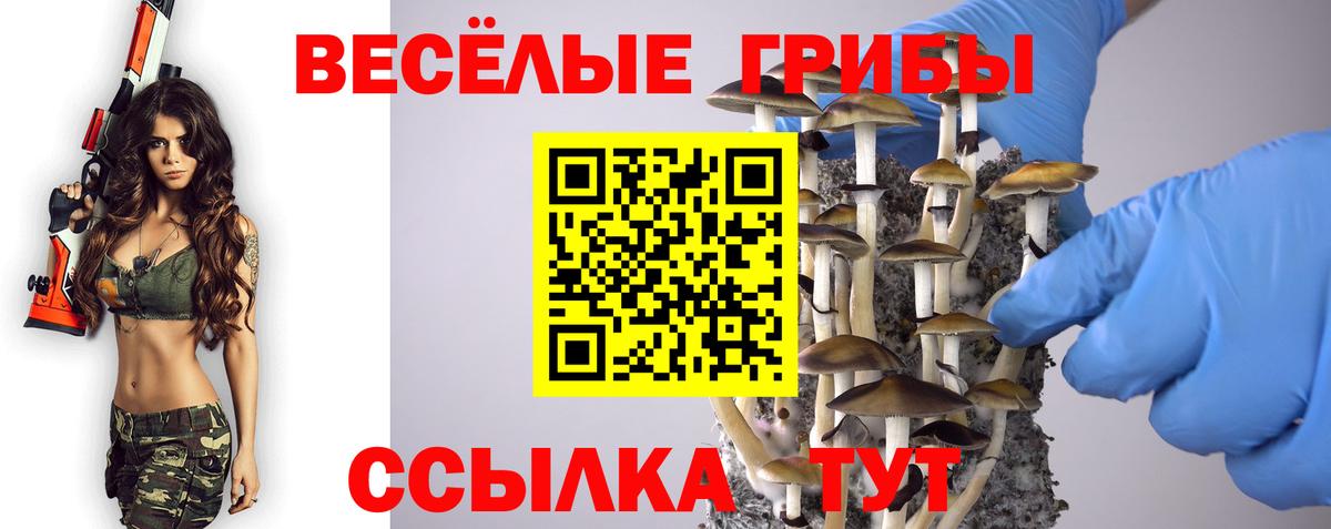 Галлюциногенные грибы Magic Shrooms Новотроицк